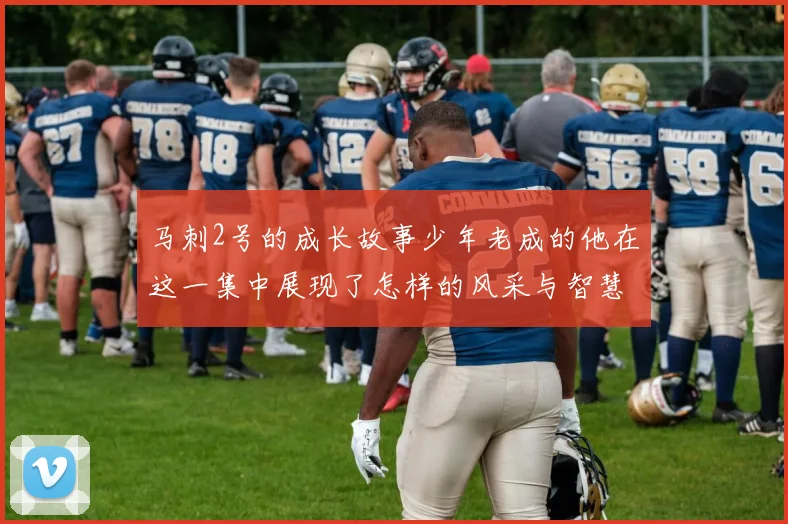 马刺2号的成长故事少年老成的他在这一集中展现了怎样的风采与智慧